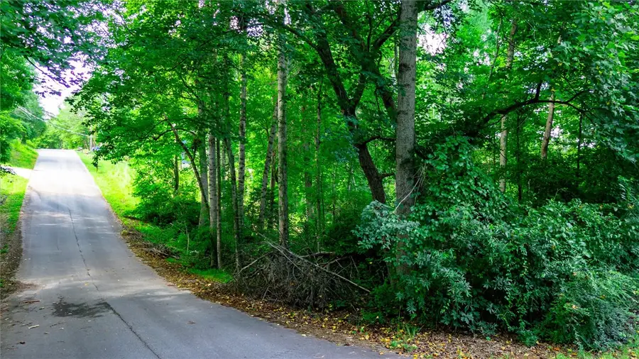 Lot 10A Country Glen Lane, Pelzer, SC 29669 - #3