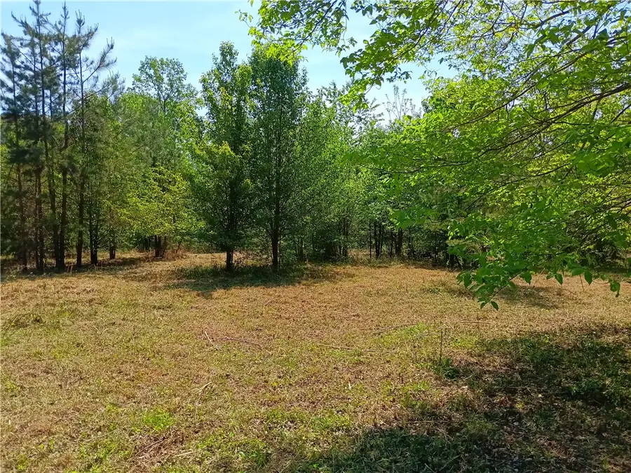 00L-1 Hickory Cove Road, Seneca, SC 29672 - #3