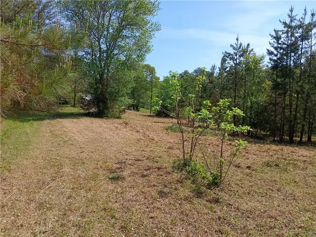 00L-2 Hickory Cove Road, Seneca, SC 29672 - #1