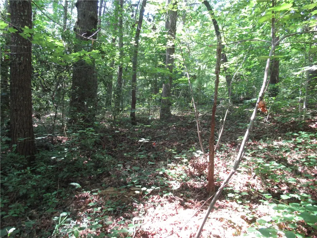 00 Gauley Falls Road, Pickens, SC 29671 - #1