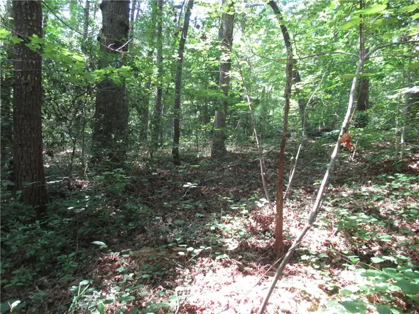 00 Gauley Falls Road, Pickens, SC 29671