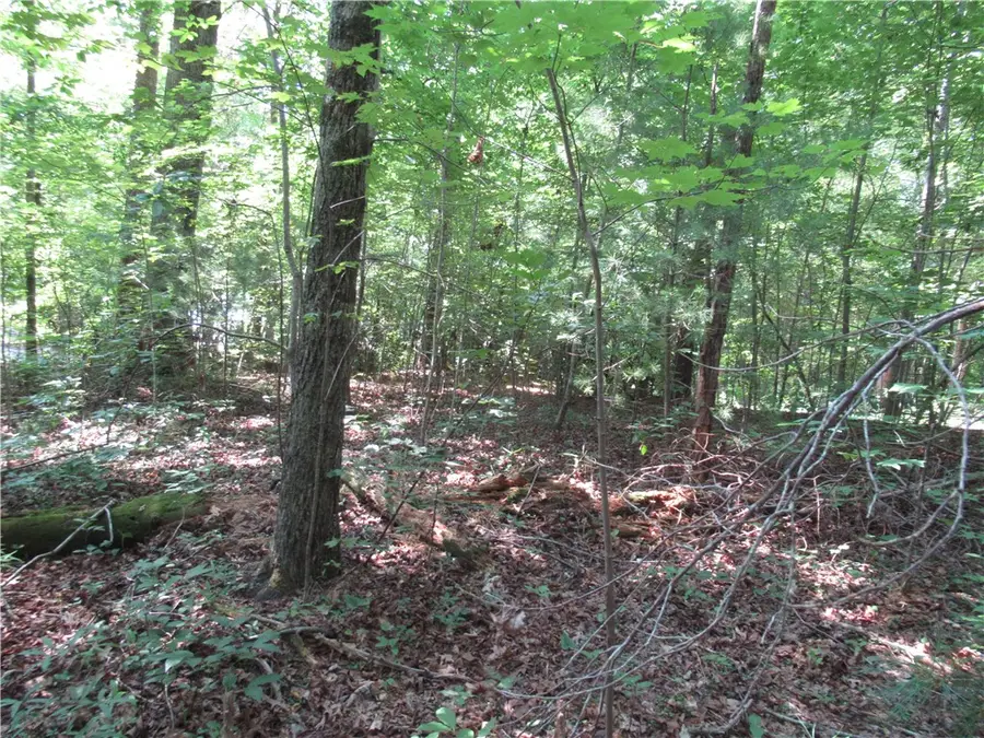 00 Gauley Falls Road, Pickens, SC 29671 - #3