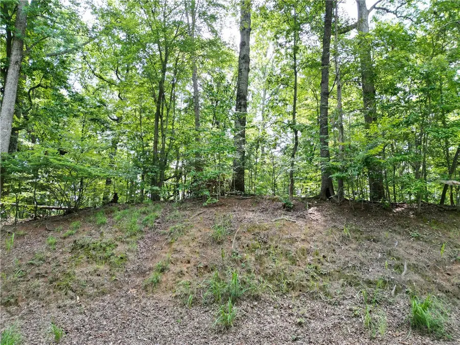 1654 Point Road, Westminster, SC 29693 - #2