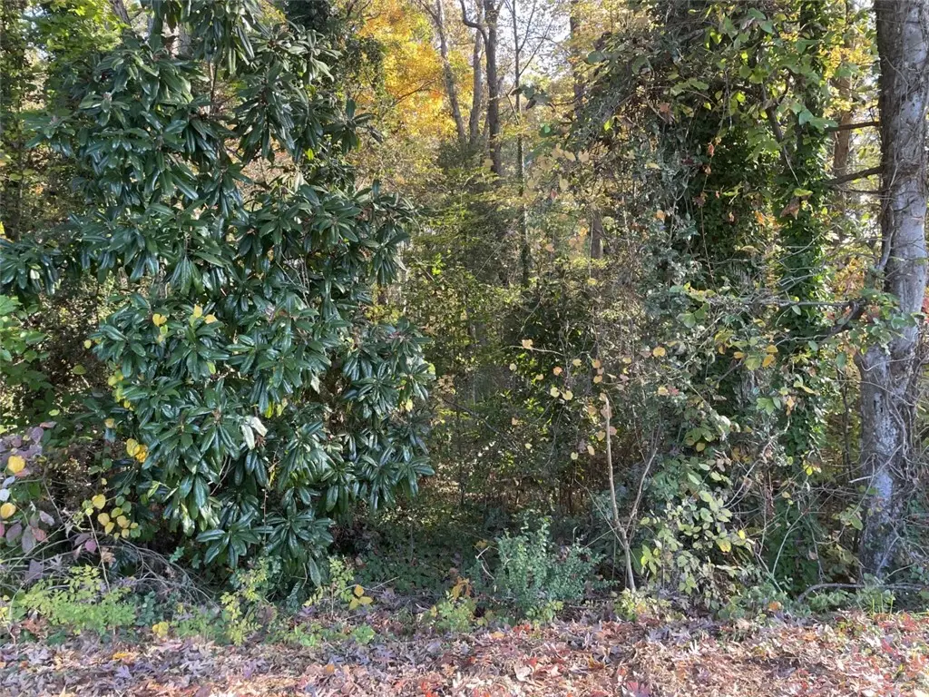 Lot 9 Brookforest Drive, Anderson, SC 29621 - #1
