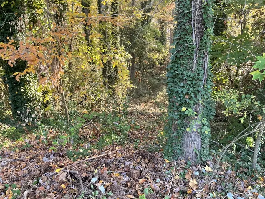 Lot 9 Brookforest Drive, Anderson, SC 29621 - #2