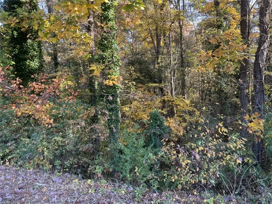 Lot 9 Brookforest Drive, Anderson, SC 29621 - #3