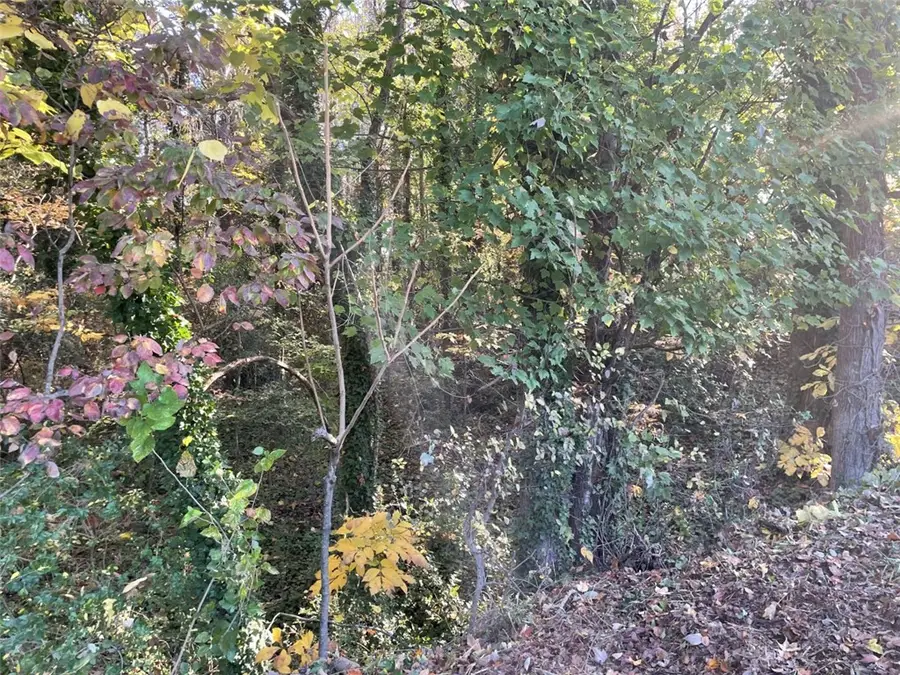 Lot 10 Brookforest Drive, Anderson, SC 29621 - #3