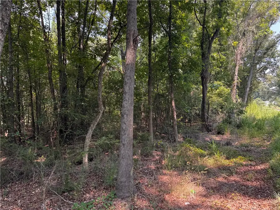 1616 Blue Ridge Avenue, Belton, SC 29627 - #2