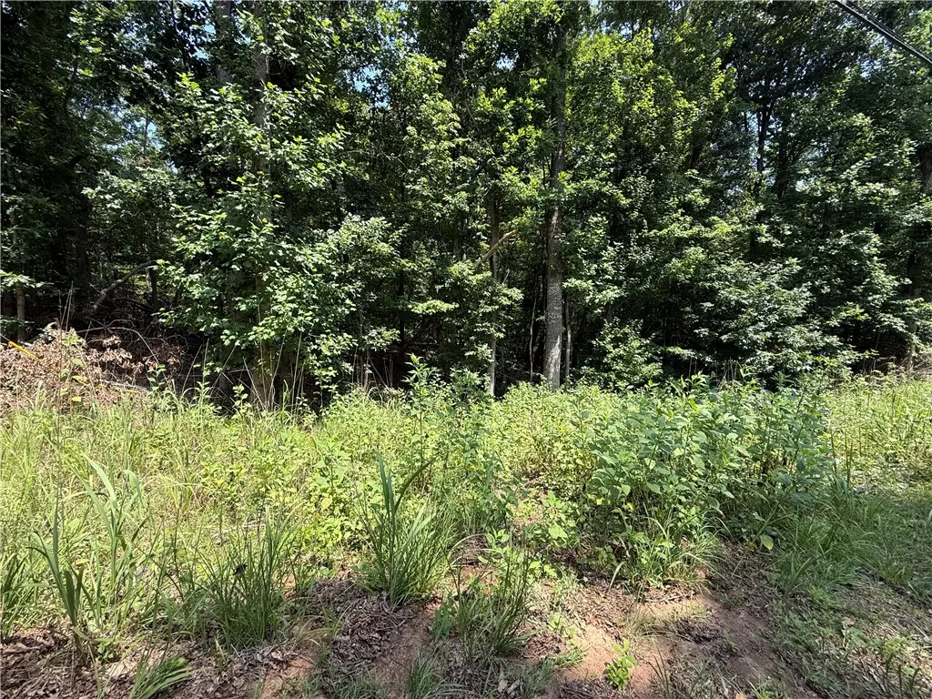 Lot 8 Old Smokey Drive, Westminster, SC 29693 - #1
