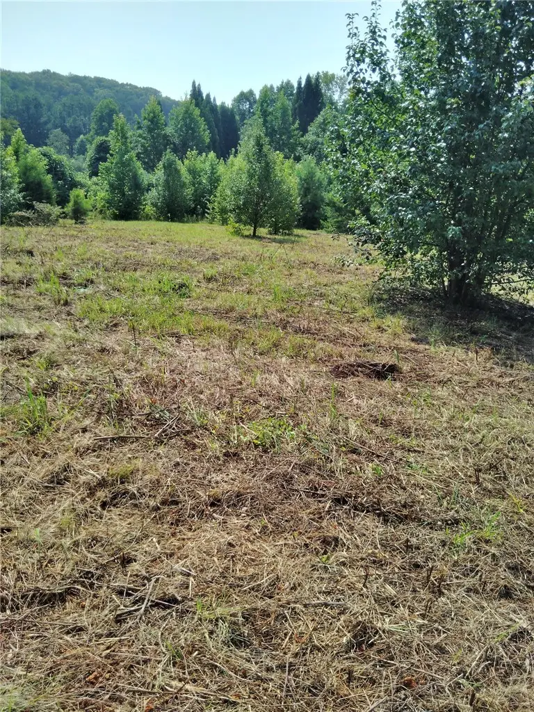 0 Jameson Road, Easley, SC 29640 - #1