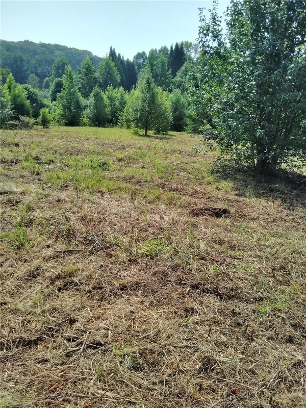 0 Jameson Road, Easley, SC 29640