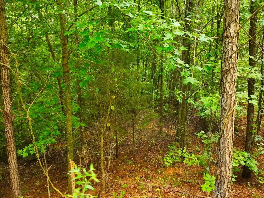 162 Sarah Simpson Road, Iva, SC 29655 - #3