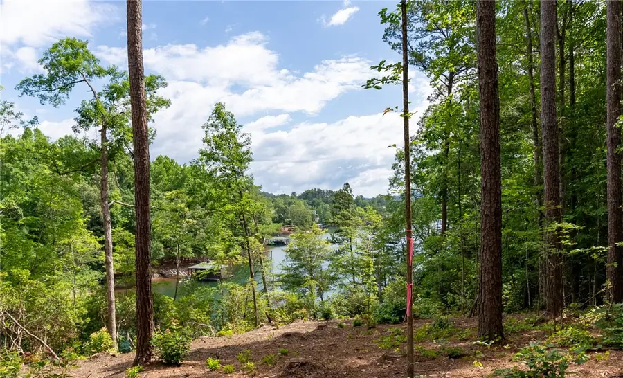 Lot 5 Canebrake Estates, Salem, SC 29676 - #2