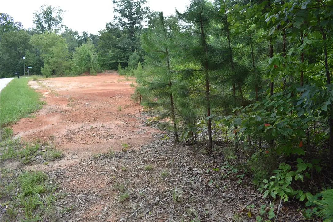 428 Falcons Lair West Drive Drive, Walhalla, SC 29691 - #1