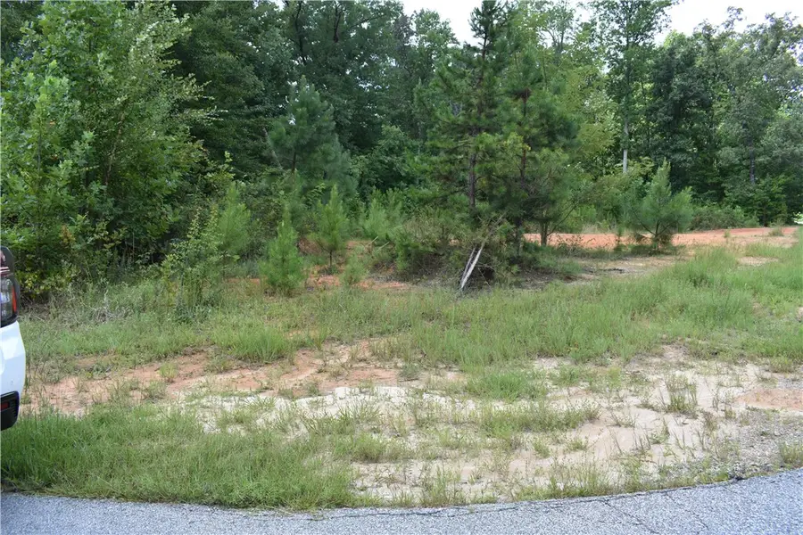 428 Falcons Lair West Drive Drive, Walhalla, SC 29691 - #3