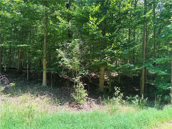 2176 LOT N Sundew Drive, Westminster, SC 29693