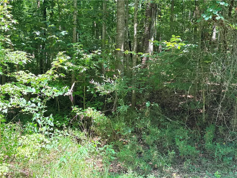 Lot 2177 N Sundew Drive, Westminster, SC 29693 - #3