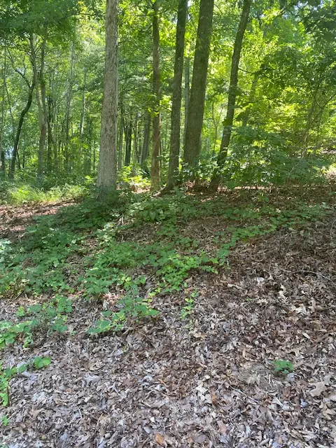 402 Woodridge Drive, Seneca, SC 29672