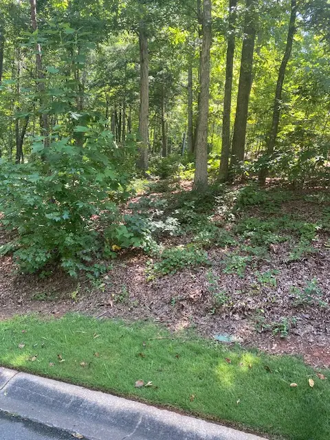 402 Woodridge Drive, Seneca, SC 29672 - #2