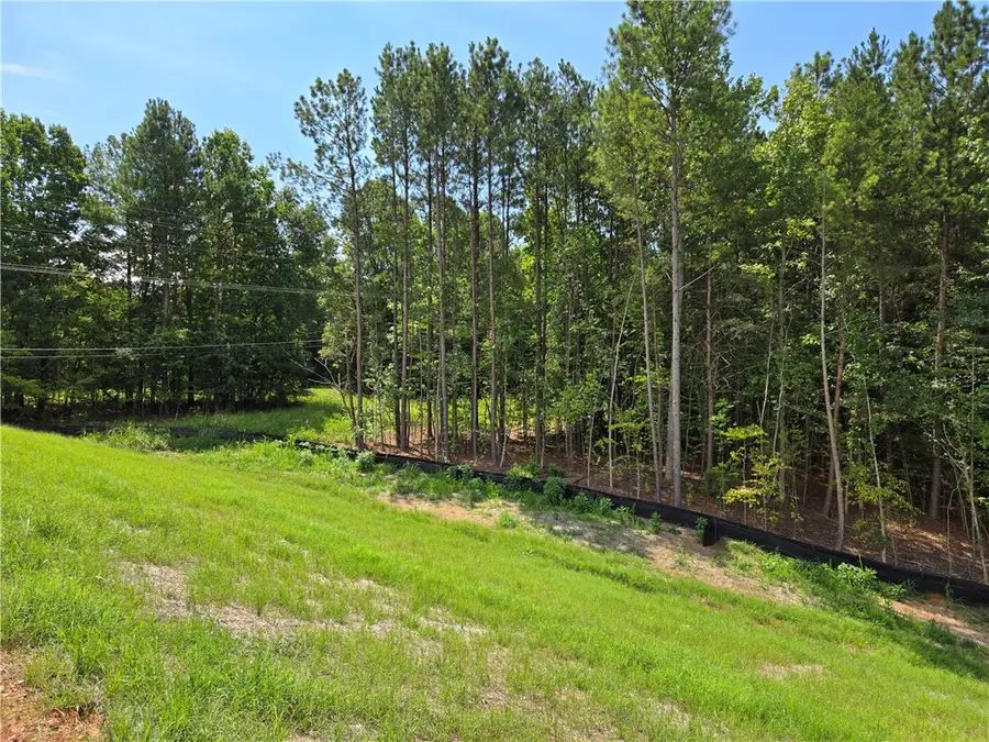 00 Pacolet Highway, Gaffney, SC 29340 - #3