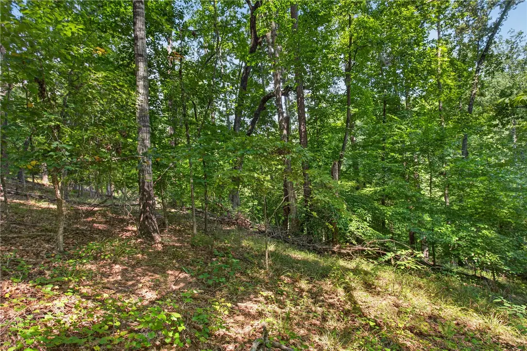 206 Shipmaster Drive, Salem, SC 29676 - #1