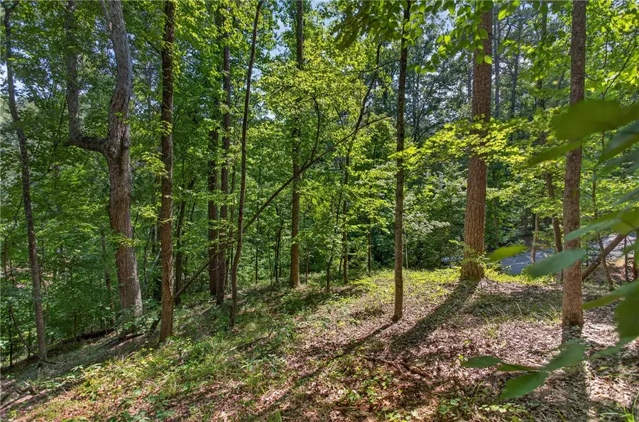 206 Shipmaster Drive, Salem, SC 29676 - #2