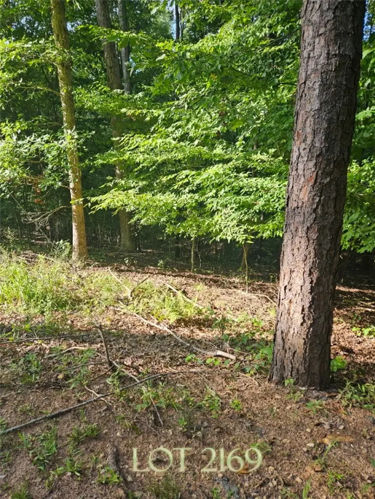Lot 2169 North Sundew Drive, Westminster, SC 29693 - #1