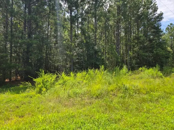 00 Shrine Club Road, Waterloo, SC 29384