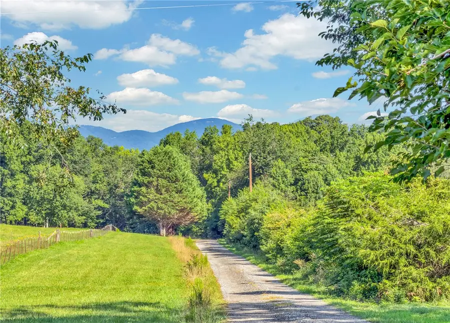 2440 Mount Lebanon Road, Campobello, SC 29322 - #3