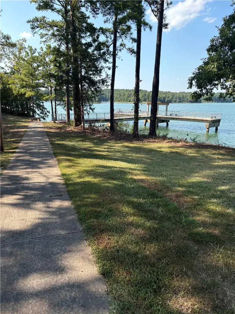 135 Latimer Boat Ramp Road, Calhoun Falls, SC 29628 - #3