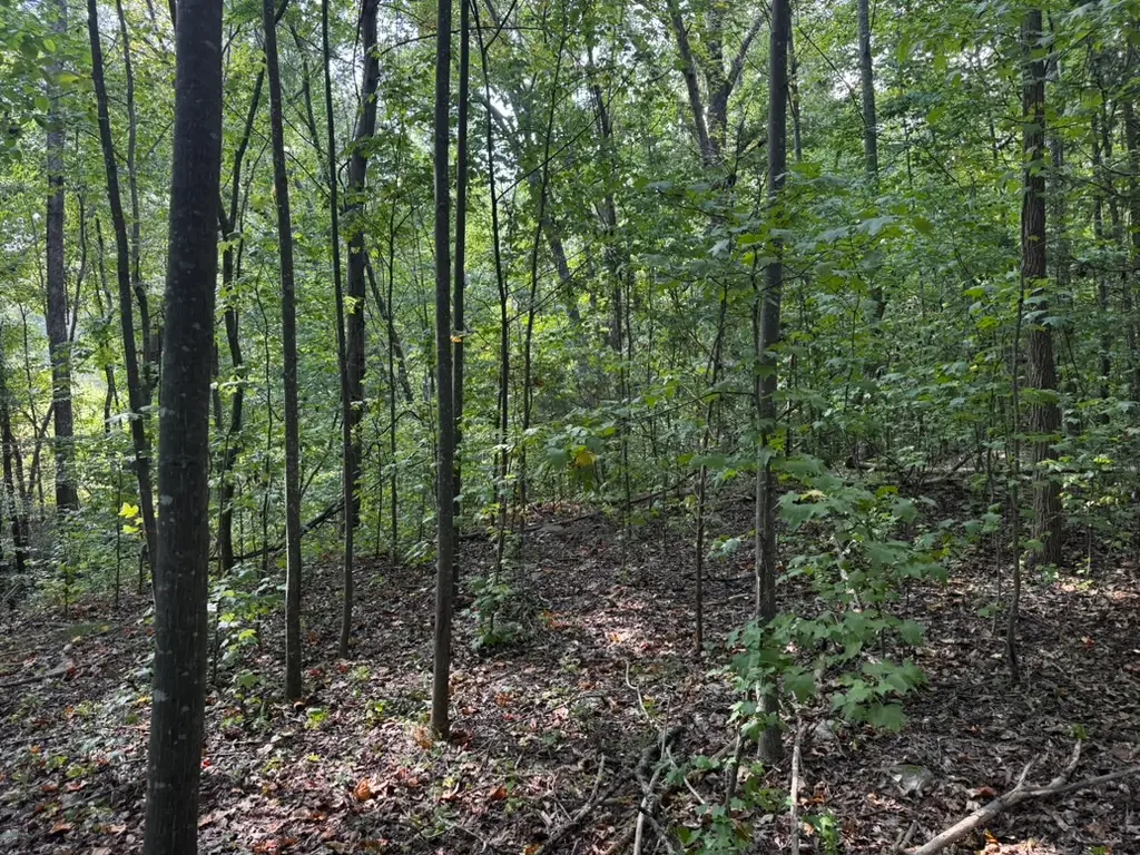 1146 Little Mountain Road, Anderson, SC 29626 - #1