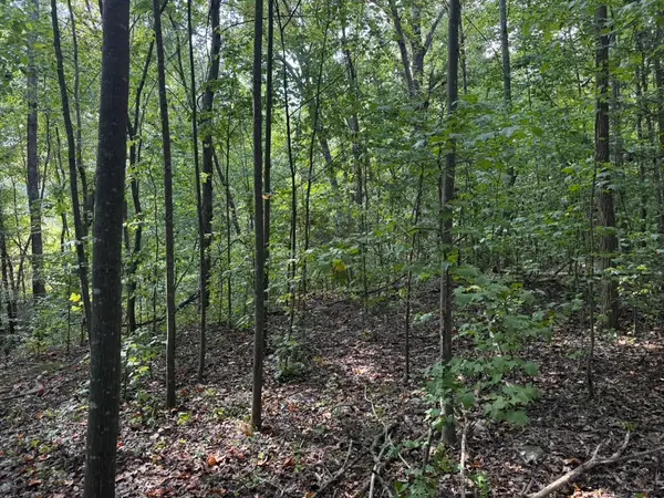 1146 Little Mountain Road, Anderson, SC 29626