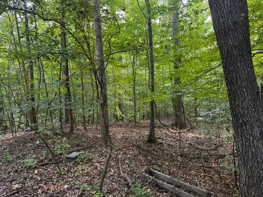 1146 Little Mountain Road, Anderson, SC 29626 - #2