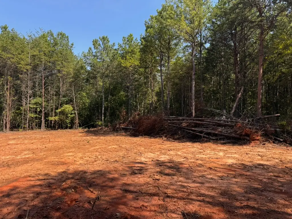 00 Dixon Road #Tract 3, Westminster, SC 29693 - #1