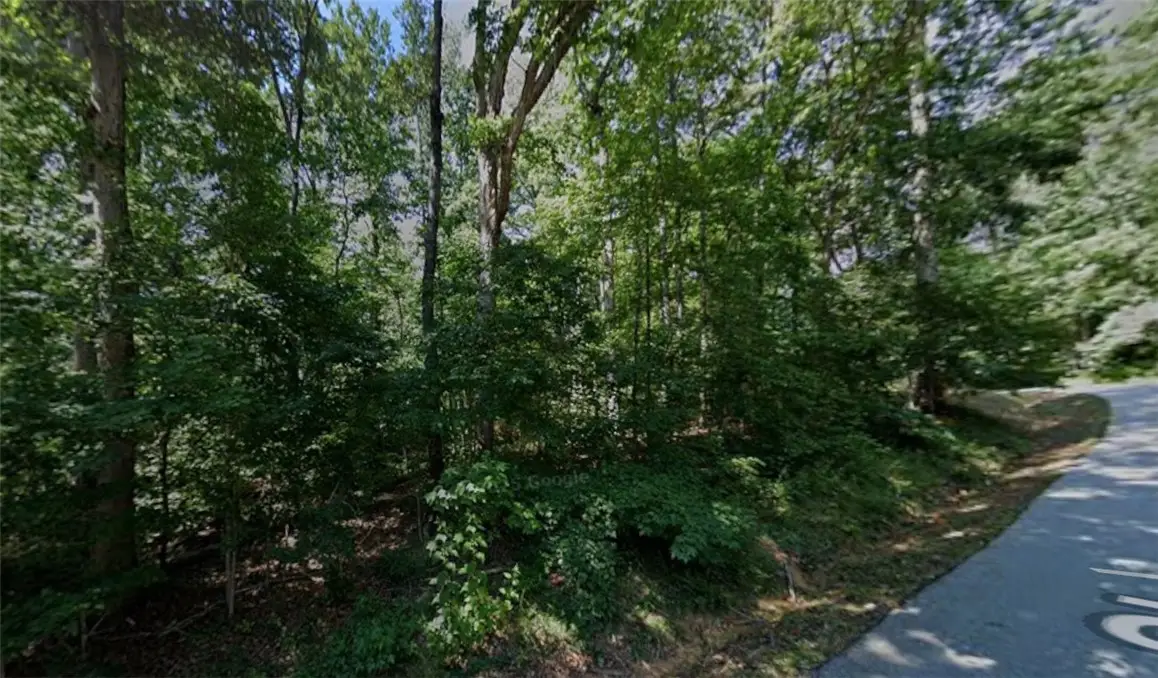 228 Shannandoah Drive, Westminster, SC 29693 - #1