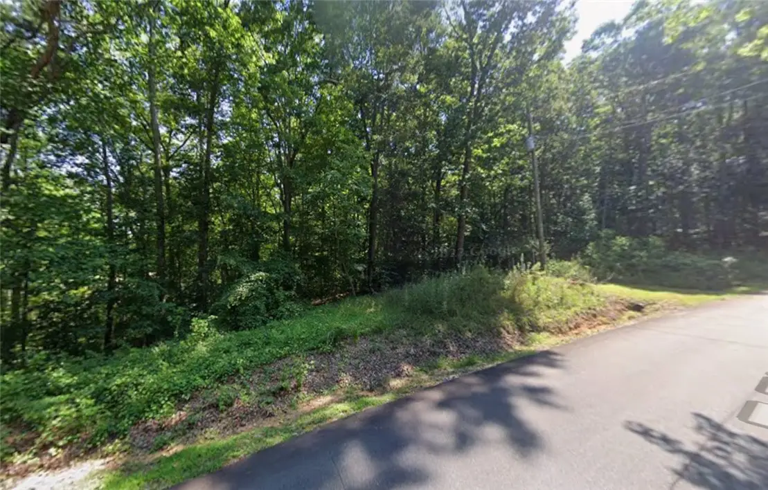917 E Thunderbird Drive, Westminster, SC 29693 - #1