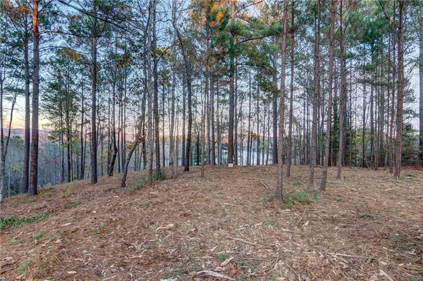 325 Button Wood Court, Salem, SC 29676