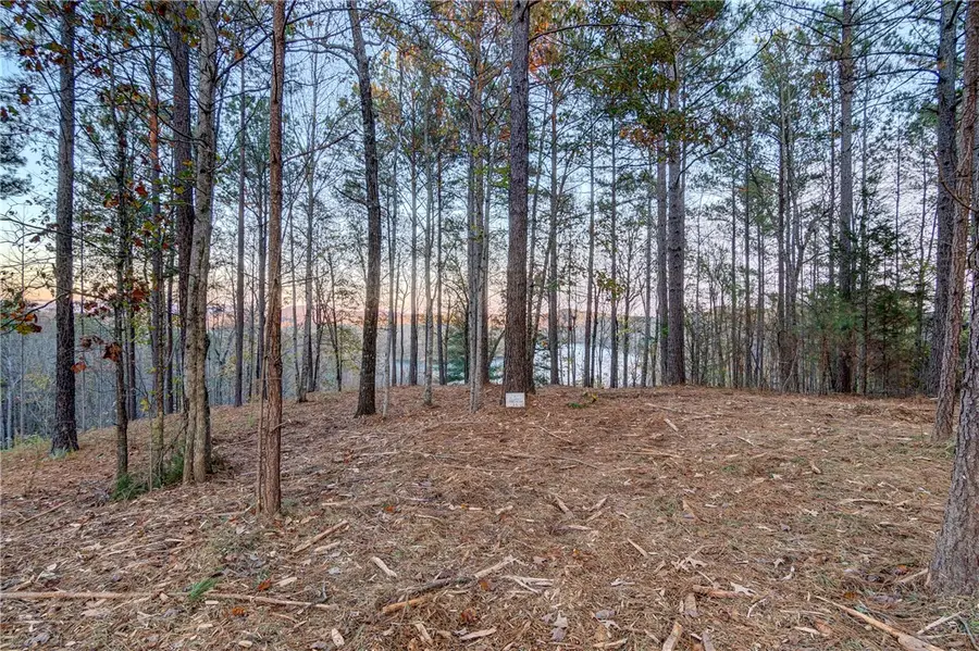 325 Button Wood Court, Salem, SC 29676 - #2