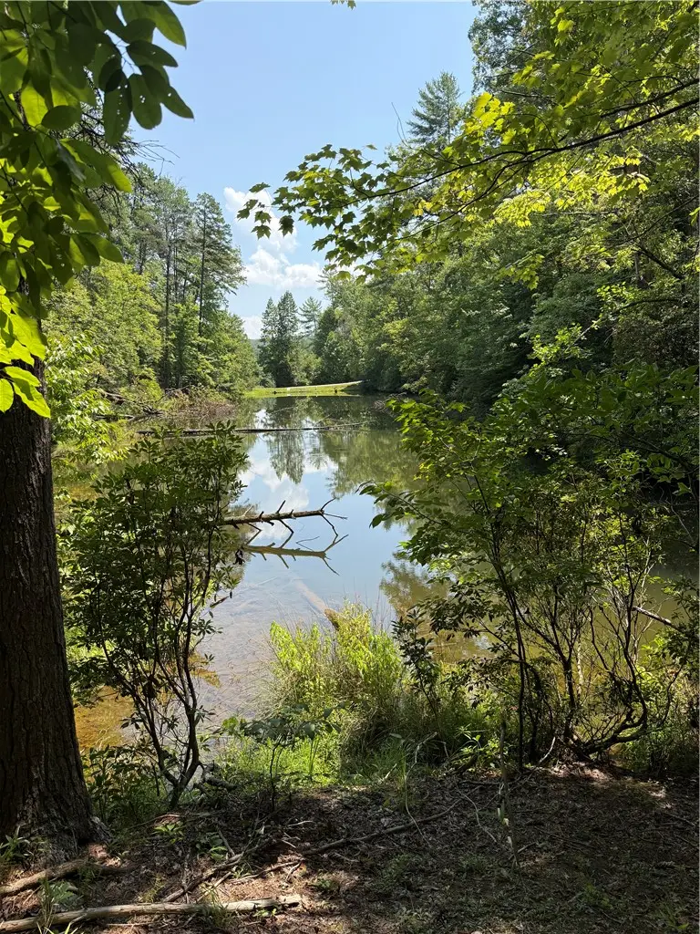 Lots 94 & 95 Inland Trail, Salem, SC 29676 - #2