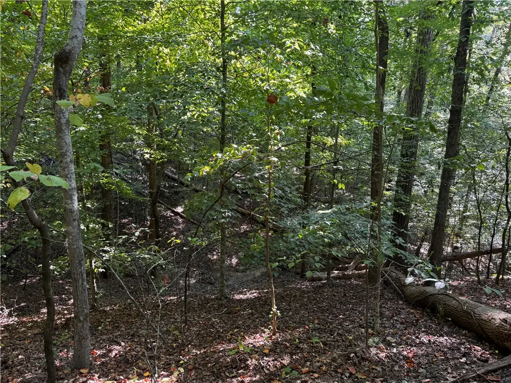 00 Buttercup Court #Lot 283, Westminster, SC 29693 - #1