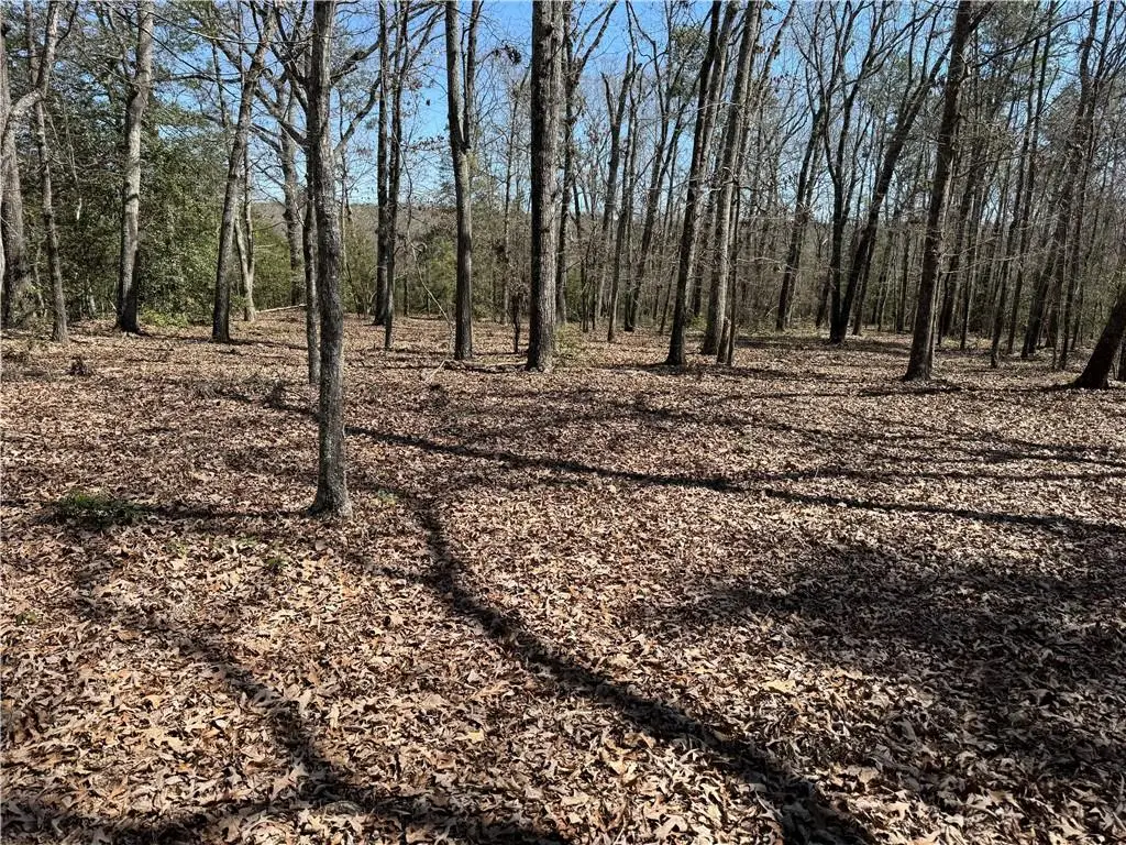 00 Golden Hickory Drive, Anderson, SC 29621 - #1