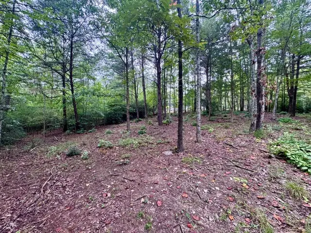 2 Darting Sparrow Way, Marietta, SC 29661 - #2