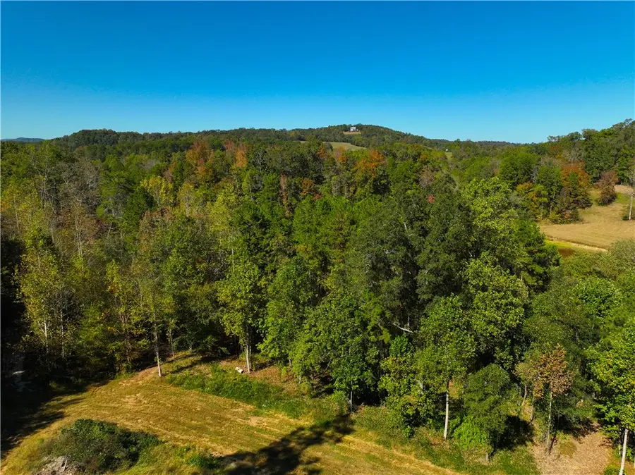 284 River Road, Westminster, SC 29693 - #3