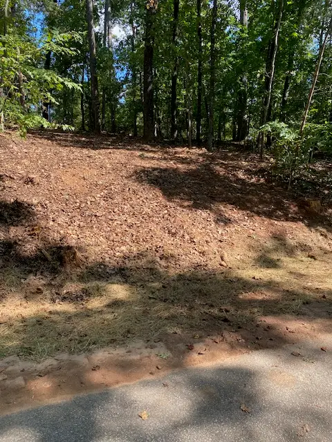Lot 8 Sunset Bay Boulevard, Seneca, SC 29672