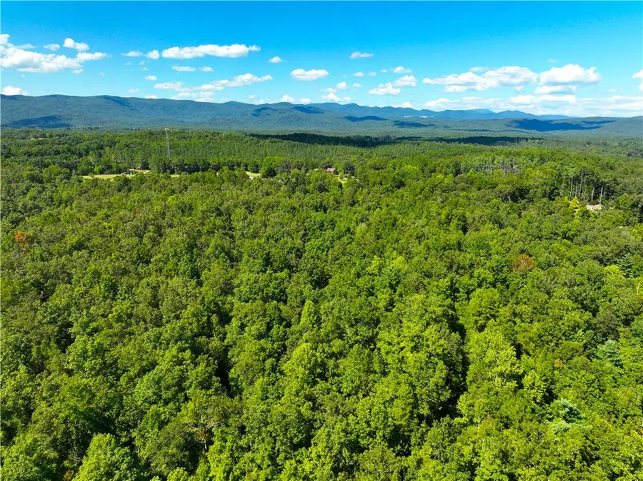 00 Whitmire Church Road, Tamassee, SC 29686 - #2