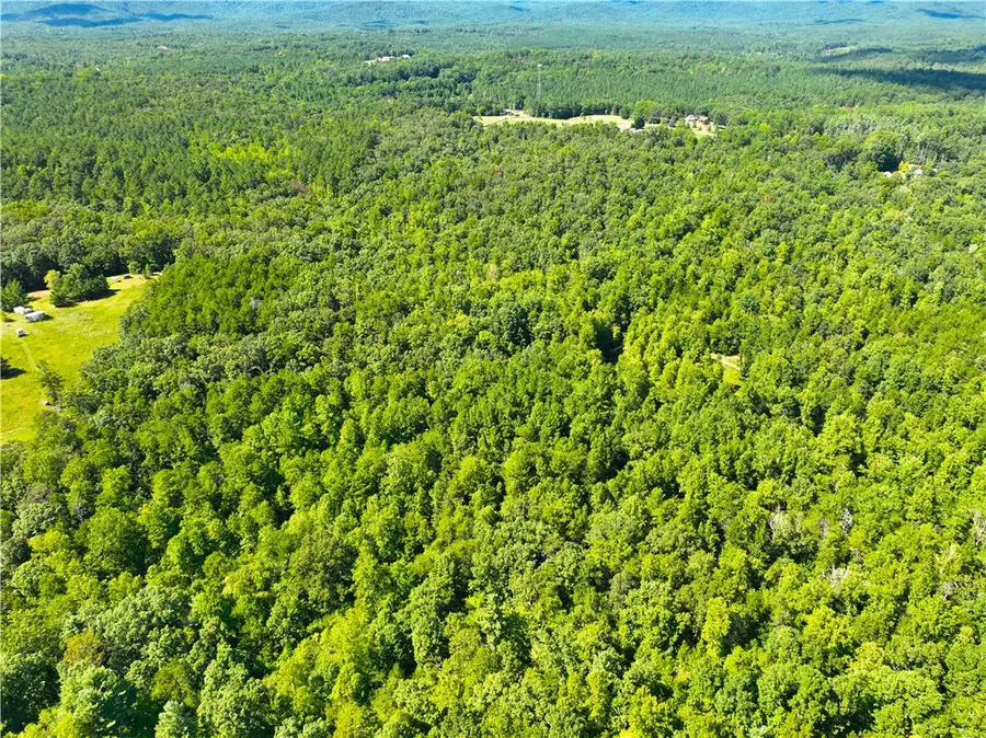 00 Whitmire Church Road, Tamassee, SC 29686 - #3