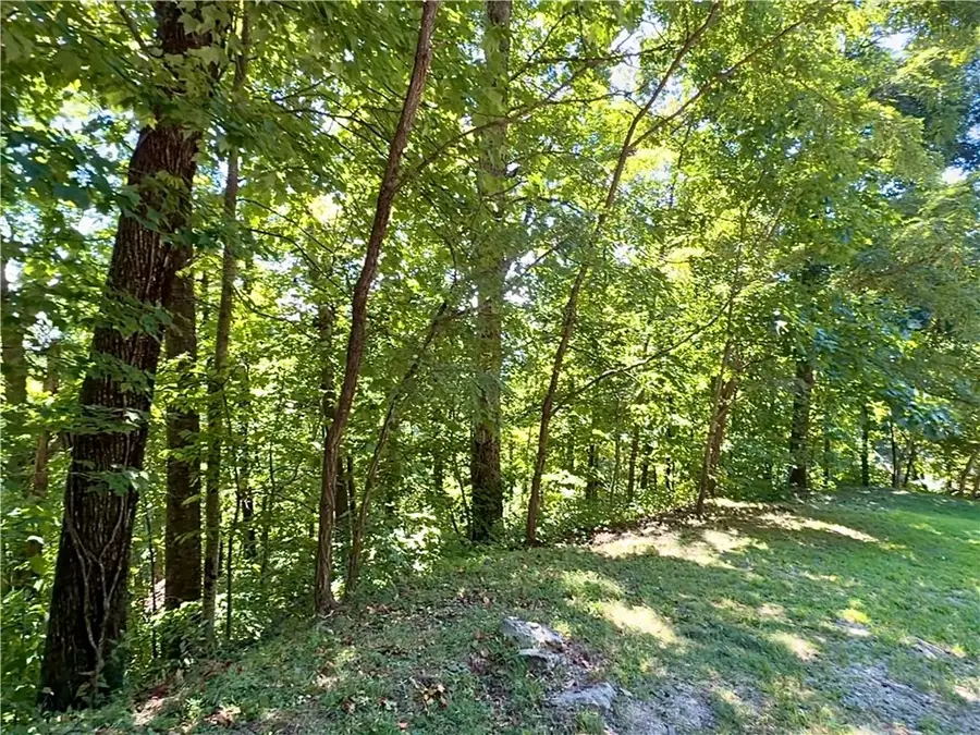 1424 Panther Park Trail, Travelers Rest, SC 29690 - #3