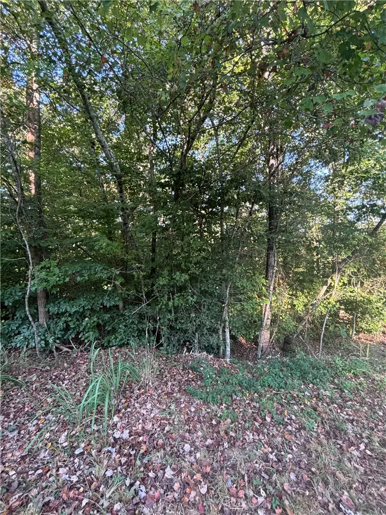 0 Singing Pines Road, Seneca, SC 29678 - #1