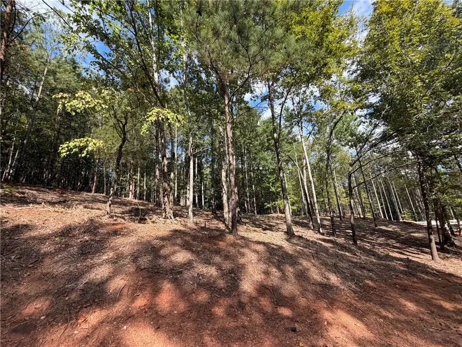 177 Creek Stone Court, Six Mile, SC 29682 - #3