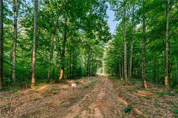 200 Chestnut Mountain Road, Travelers Rest, SC 29690